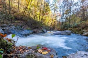 Tallulah River in Tate City