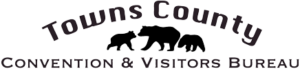 Header Logo - Towns County
