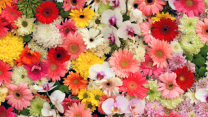 beautiful bouquet of flowers