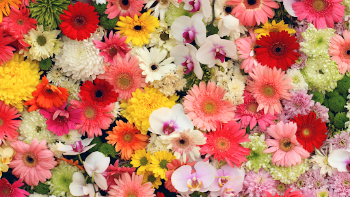 beautiful bouquet of flowers